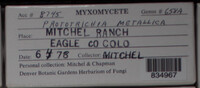 Image Associated With the Occurence